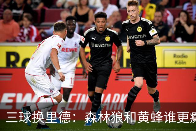 三球换里德：森林狼和黄蜂谁更癫？！