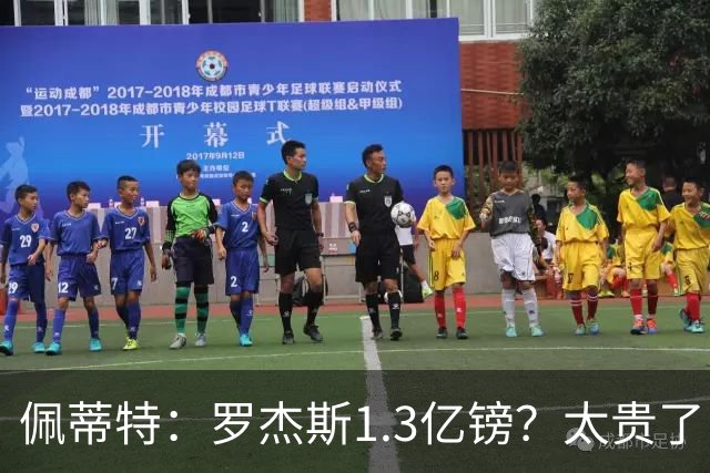 佩蒂特：罗杰斯1.3亿镑？太贵了！阿森纳可以把尼科作为替代方案